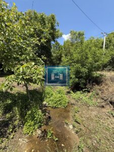 U ponudi stara autentična kuća,veoma poznata po snimanju serije Koreni.