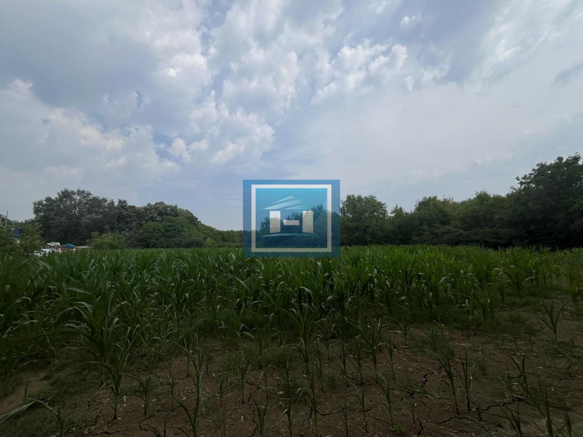 Plac za gradnju poslovnog objekta ili hale