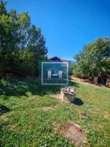 Prodaja kuce u Krivom Viru