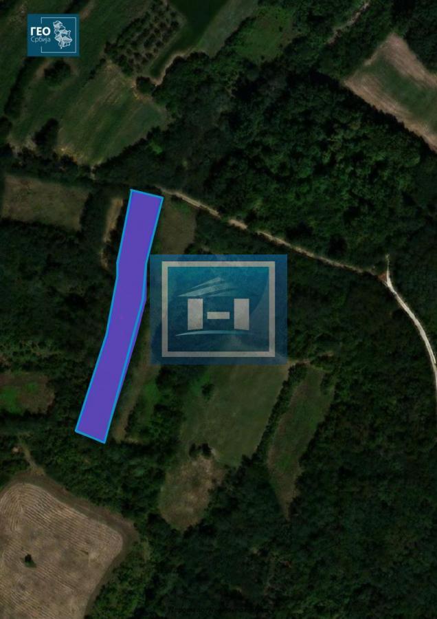 Na prodaju poljoprivredno zemljište – Šantarovac (oko 4 hektara)