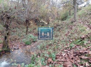 Na prodaju veliko imanje u okolini Vrnjačke Banje
