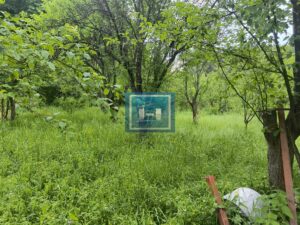 Kompletno opremljeno imanje 82 ara – dve kuće, bazen, ribnjaci, vinograd!