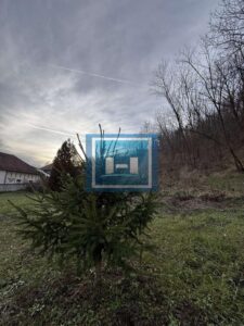 Povoljna kuća na dobroj lokaciji