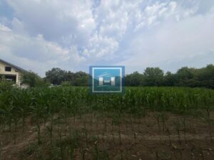 Plac za gradnju poslovnog objekta ili hale