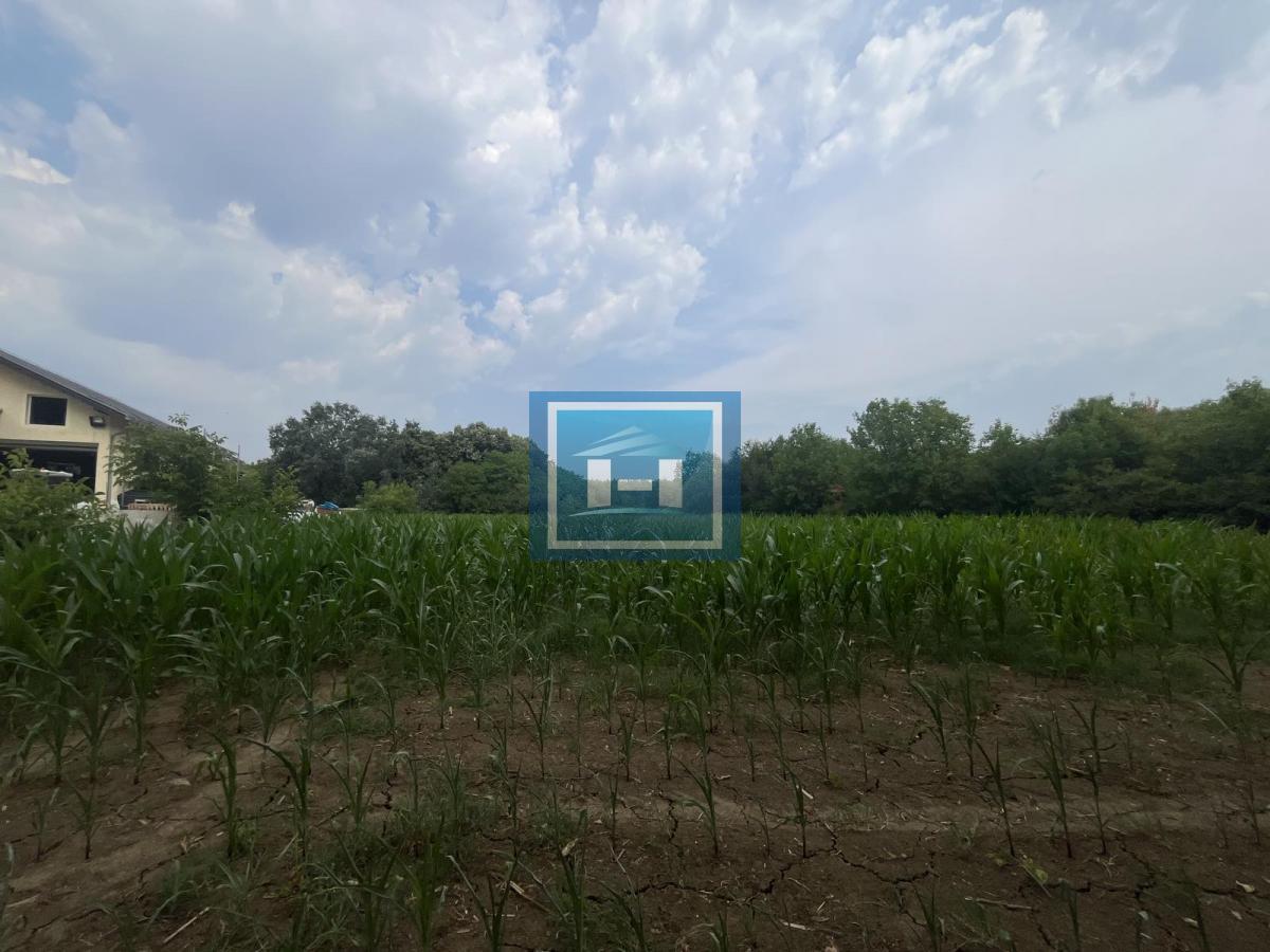 Plac za gradnju poslovnog objekta ili hale