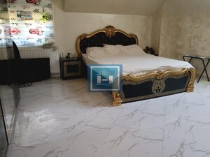 Idealno za preduzetnike – Kuća sa halom i vagom do 60 tona!
