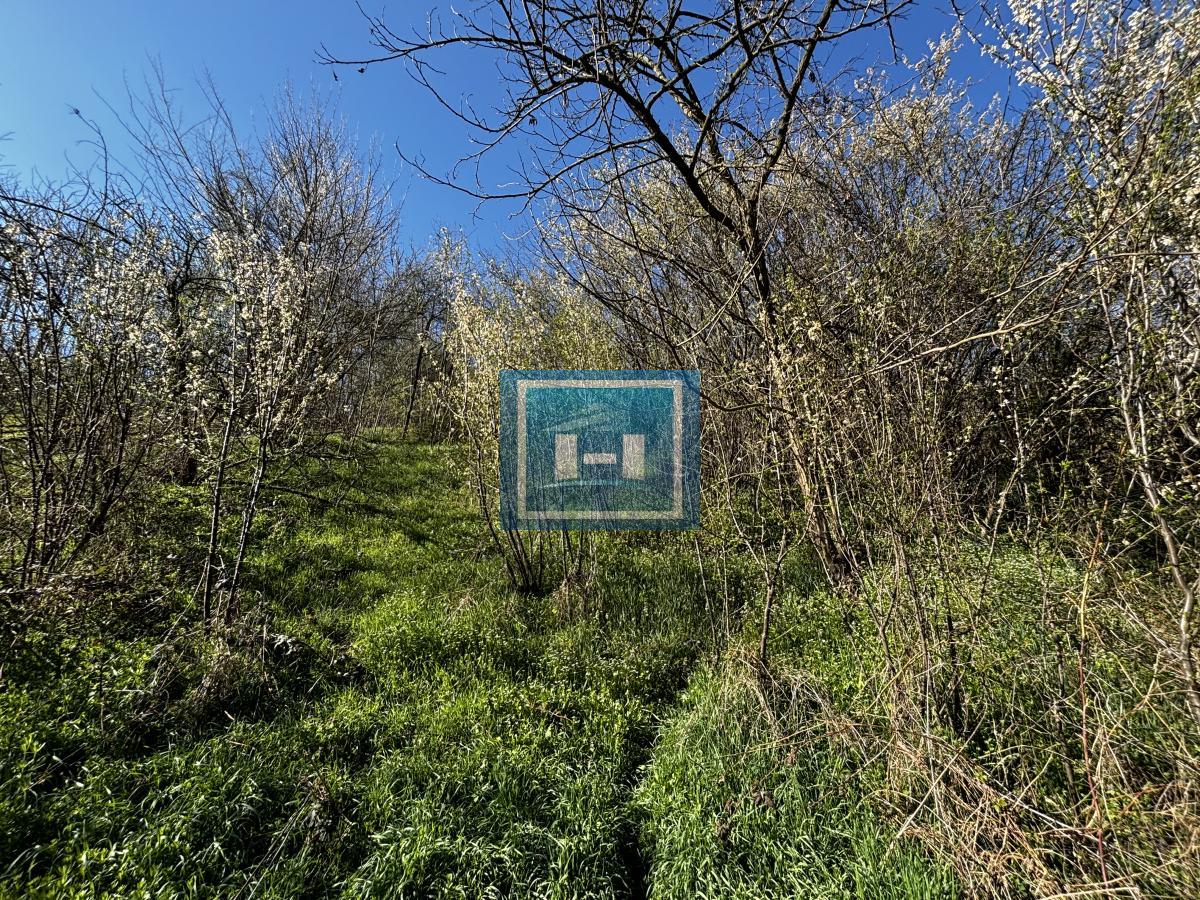 Povoljna kuća u selu Miloševo