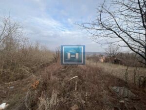 Oaza Mira – Prelepa Vikendica Nadomak Jagodine