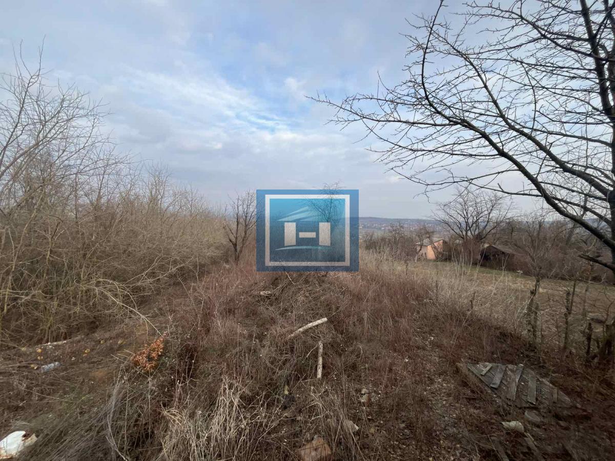 Oaza Mira – Prelepa Vikendica Nadomak Jagodine