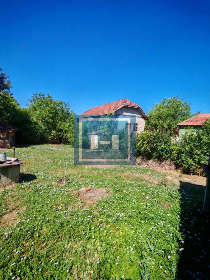 Prodaja kuce u Krivom Viru