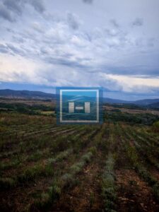 Više parcela sa starijim objektom