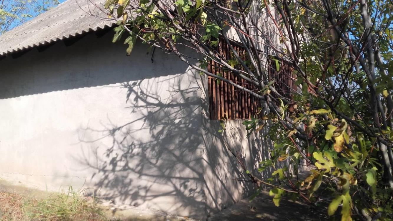 Vikendica sa vinogradom/Miloševo