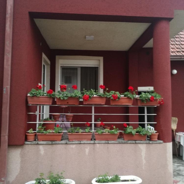 Dve kuće sa poslovnim prostorom