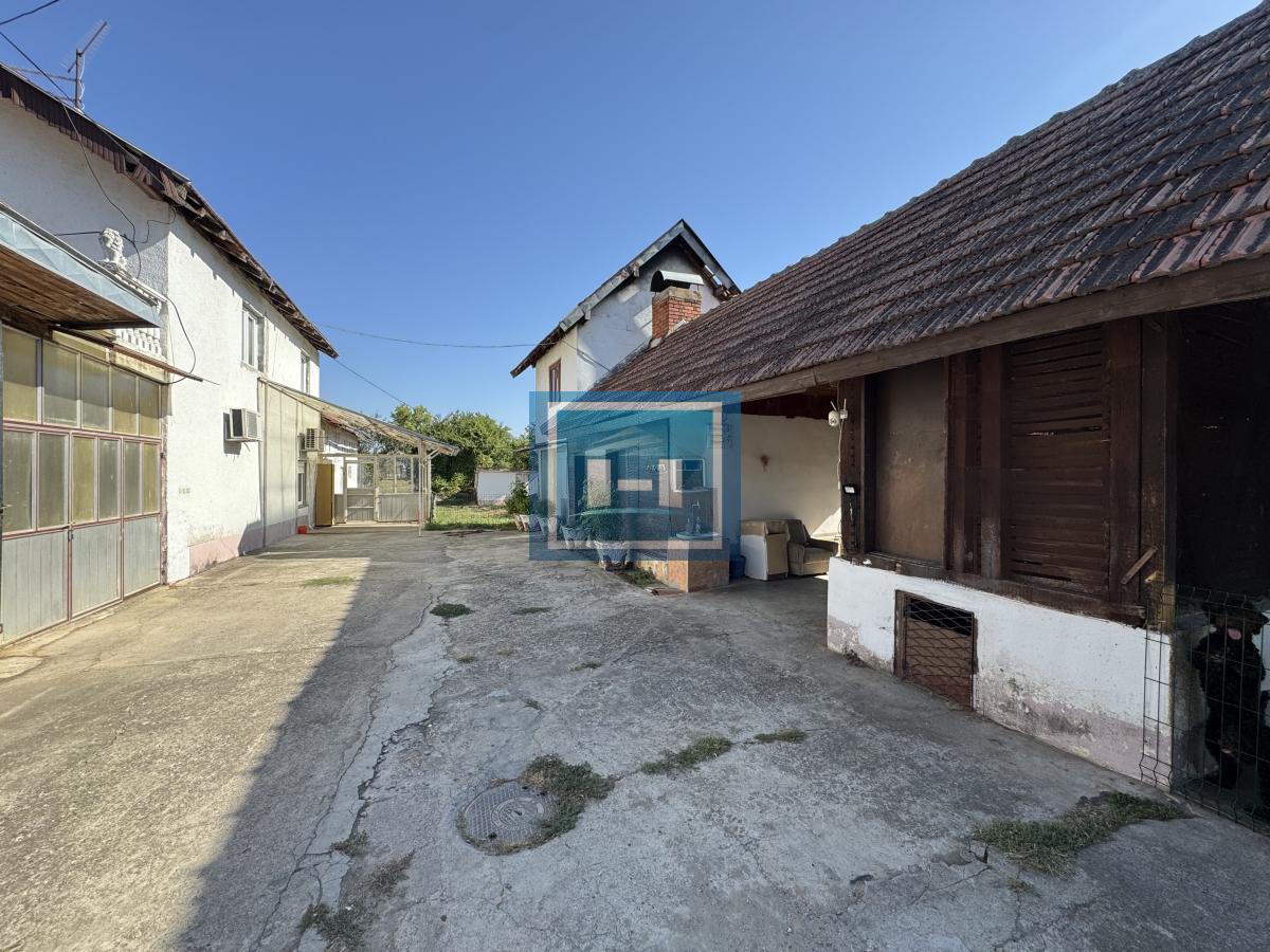 26,27 ARI. KUĆA. POMOĆNI OBJEKTI. I VELIKA MORAVA NA 150 METARA.
