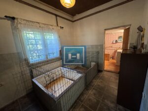 26,27 ARI. KUĆA. POMOĆNI OBJEKTI. I VELIKA MORAVA NA 150 METARA.