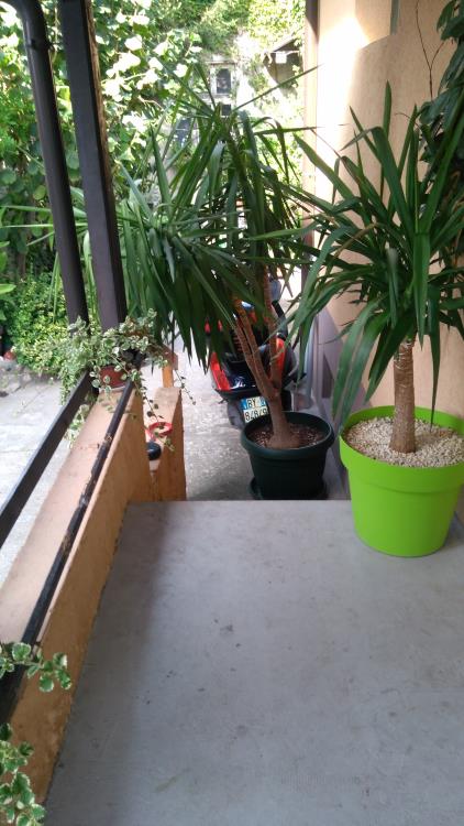 dobra kuća kod Pijace