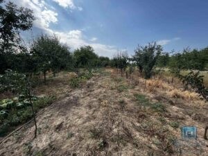 Prizemna vikendica sa velikim placem