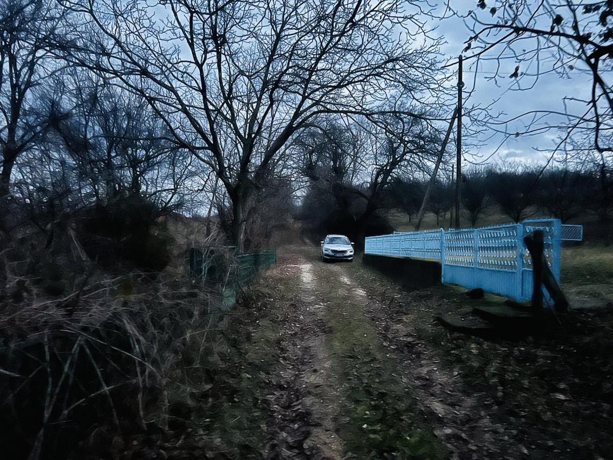 Kuća sa okućnicom i šumom od 1.6526 hektara