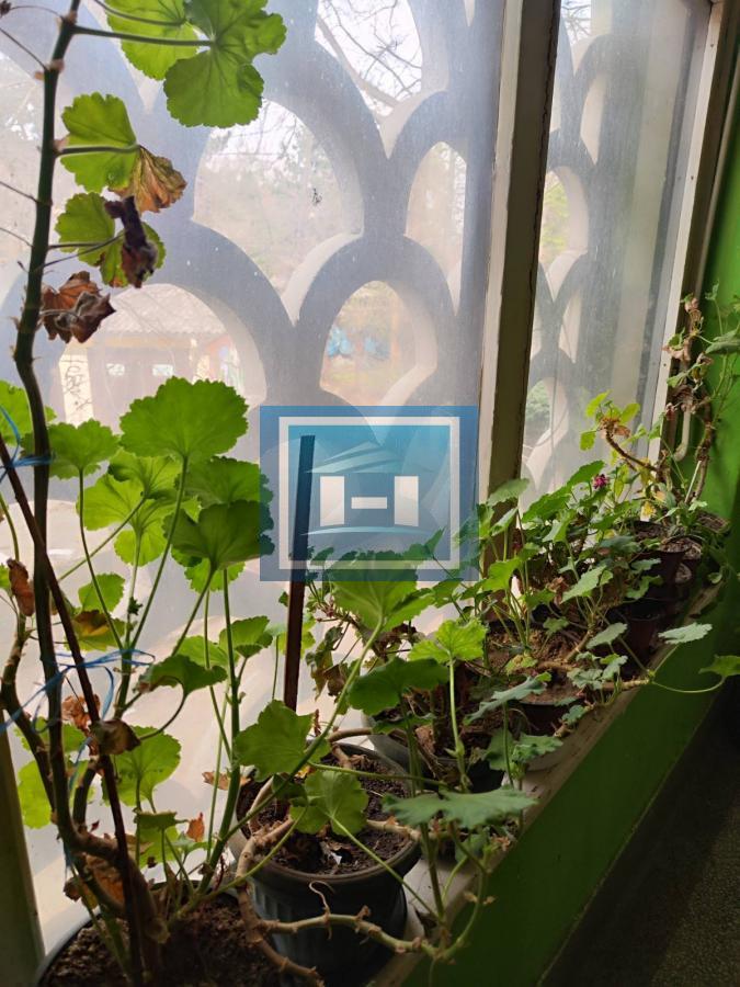 Trosoban stan na prvom spratu u Moravskom stilu u centru Jagodine