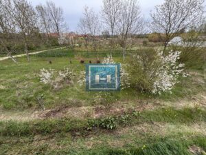 Potpuno nova kuća blizu Jagodine