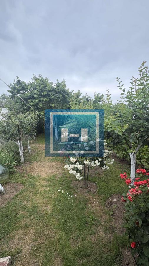 Na prodaju vikend kuća sa voćnjakom i šumom – samo 13 km od Jagodine