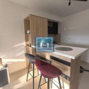 -Izdaje se stan u novogradnji