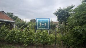 Na prodaju vikend kuća sa voćnjakom i šumom – samo 13 km od Jagodine