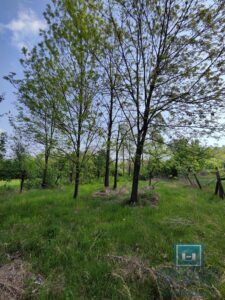 Seosko imanje u Šantarovcu, Jagodina