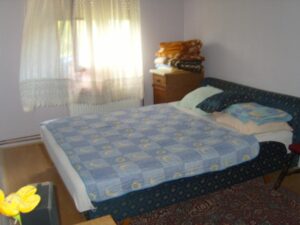 Odlična kuća sa pomoćnim objektom