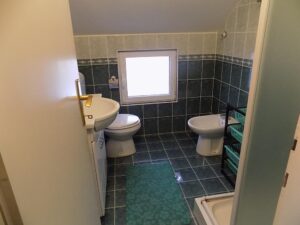 Dve kuće sa poslovnim prostorom