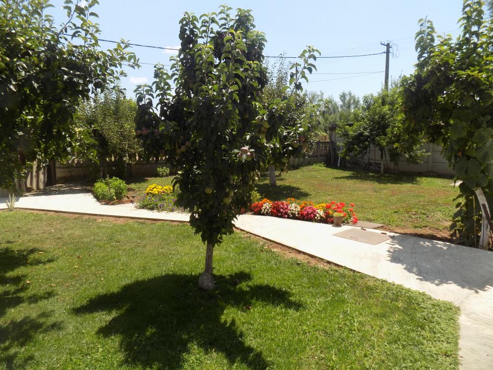 3 kuće u dvoruštu/Kružni tok