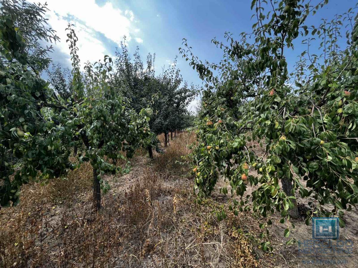 Prizemna vikendica sa velikim placem