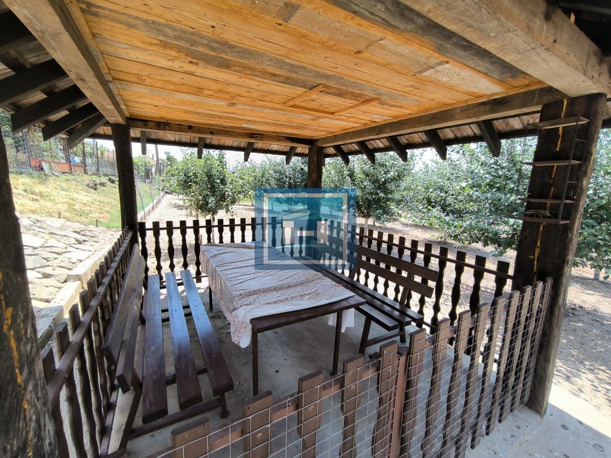 Kompletno imanje sa dve kuće, voćnjakom i pomoćnim objektima – sve na jednom mestu!