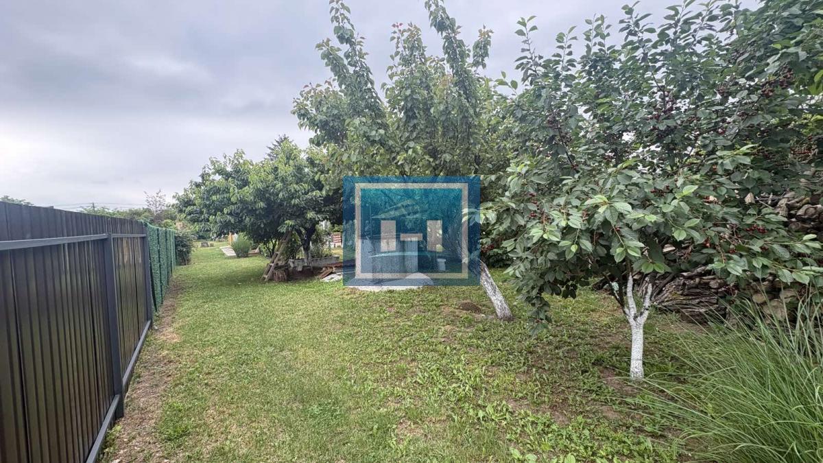 Na prodaju vikend kuća sa voćnjakom i šumom – samo 13 km od Jagodine