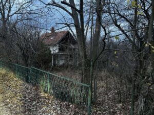 Kuća sa okućnicom i šumom od 1.6526 hektara