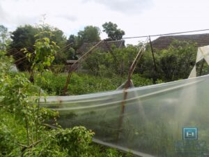 Oprema za plastenik od 1000m2 sa zemljištem