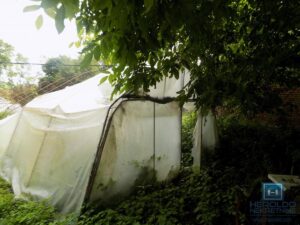 Oprema za plastenik od 1000m2 sa zemljištem