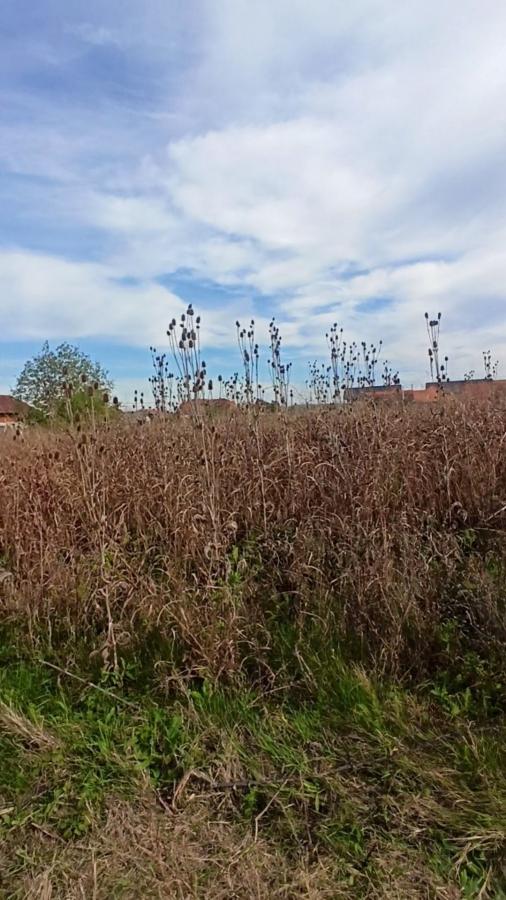 Parcele za izgradnju kuća u Panjevačkom Ritu gradska lokacija Jagodina