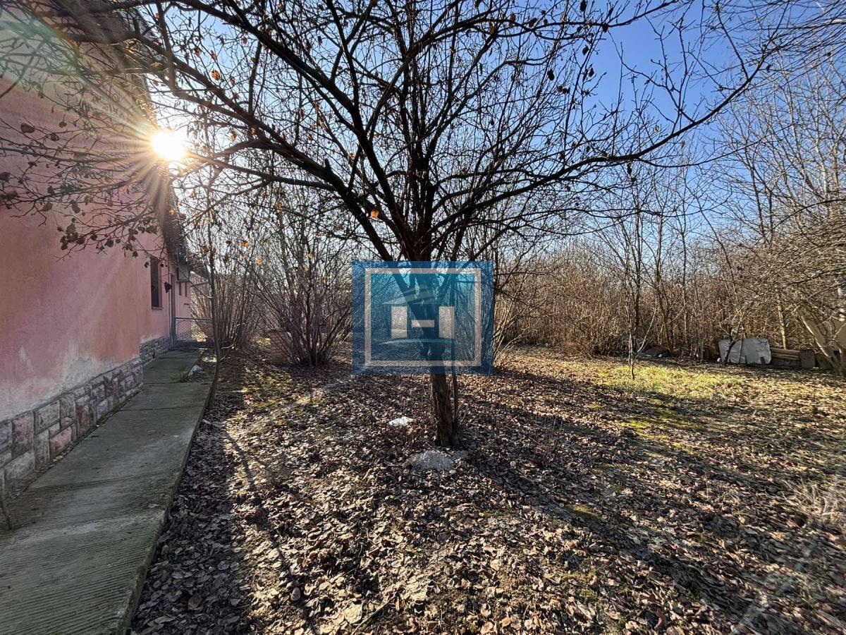 Kuća od 120m2 u naselju Kupusara na 7.39a placa