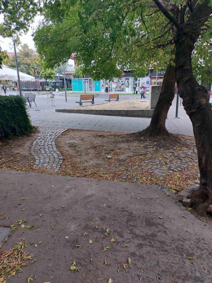 Na prodaju stambeno-poslovni prostor u samom centru