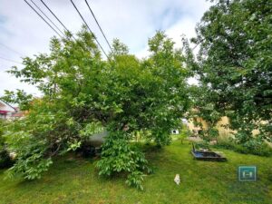 Manja kuća kod Akva Parka