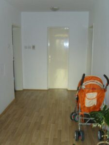 Odlična kuća sa pomoćnim objektom