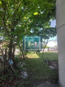 Porodična seoska kuća sa većom parcelom na 2 km od grada