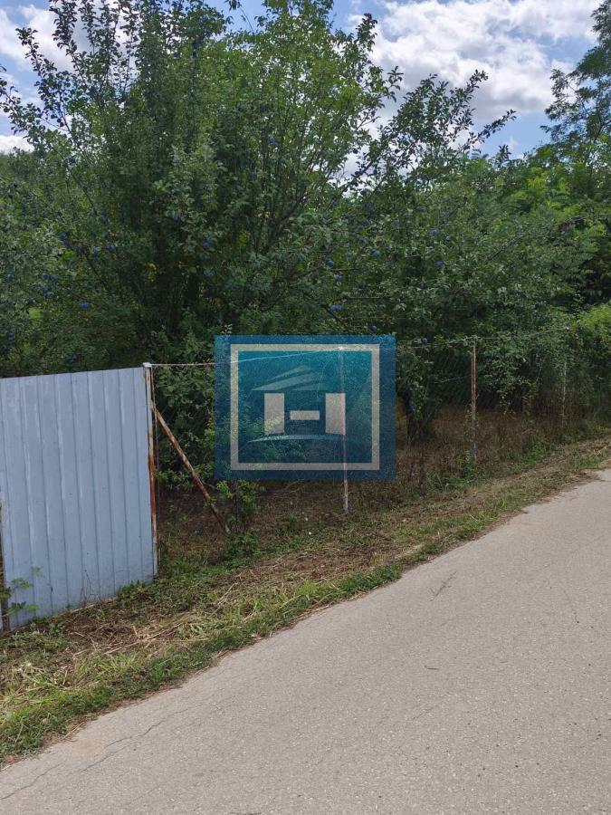 Na prodaju voćnjak sa 40 sadnica šljiva