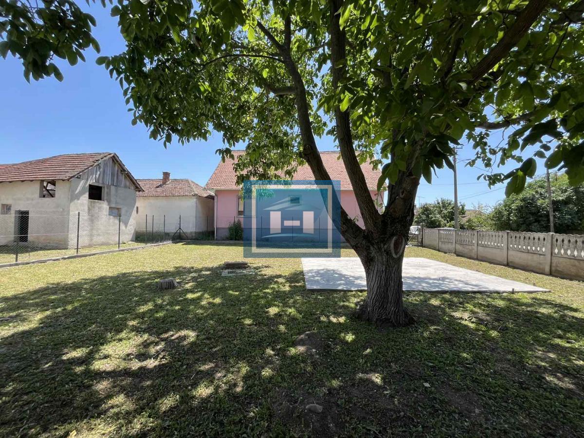 Dve kuće u jednom dvorištu-spoj udobnosti, mira i odlične lokacije
