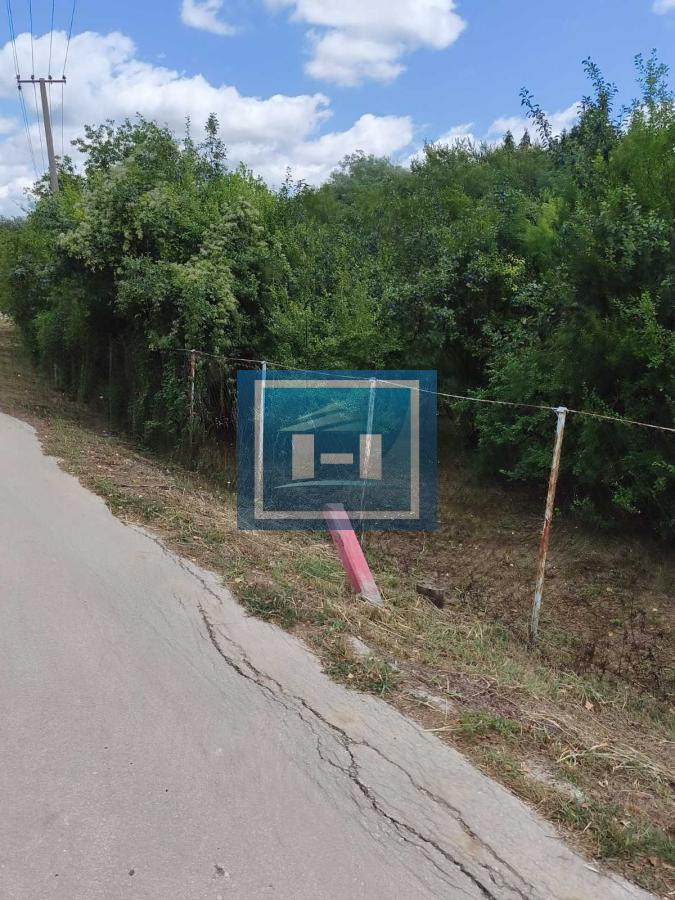 Na prodaju voćnjak sa 40 sadnica šljiva