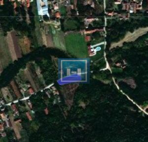 Na prodaju voćnjak sa 40 sadnica šljiva